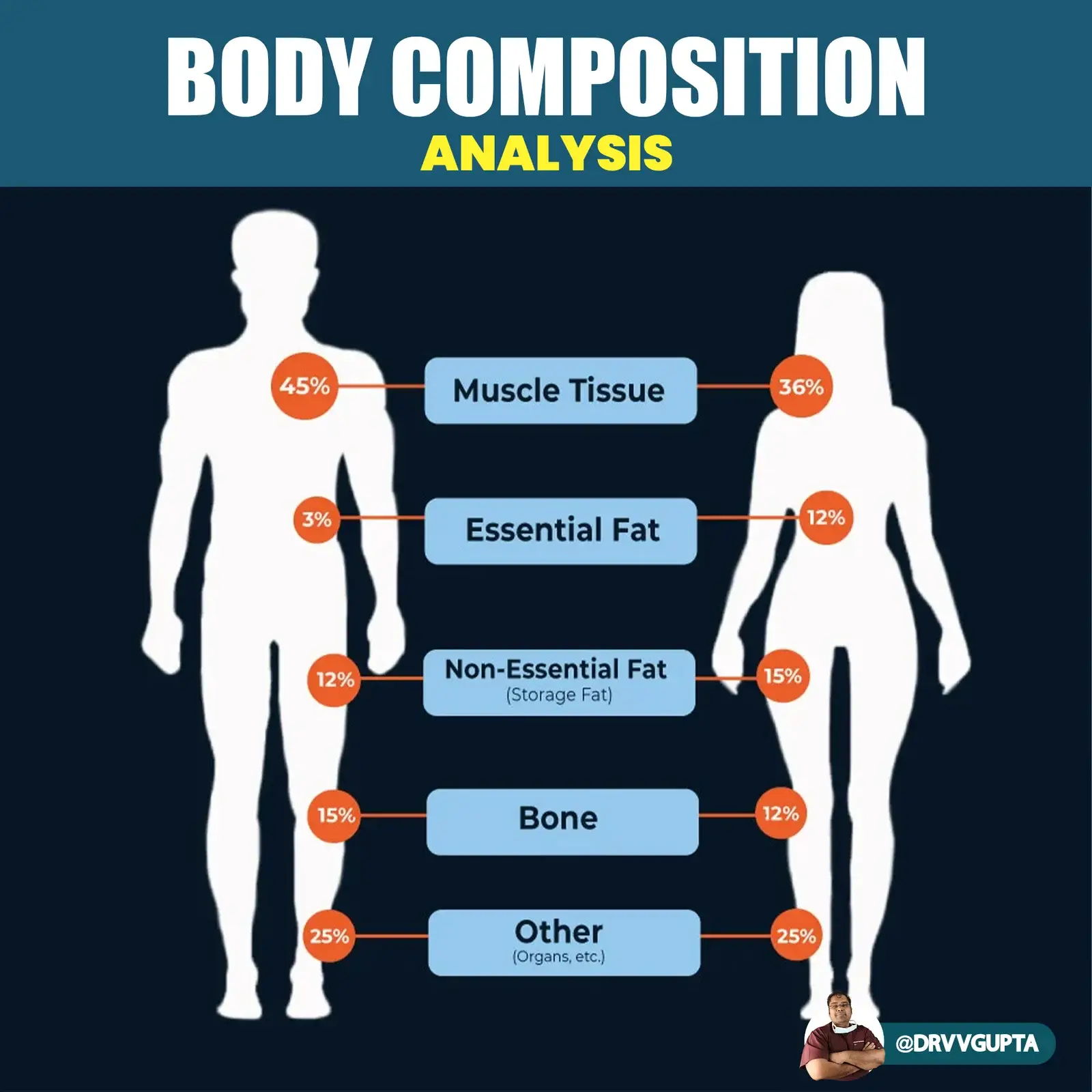 Body Composition Analysis